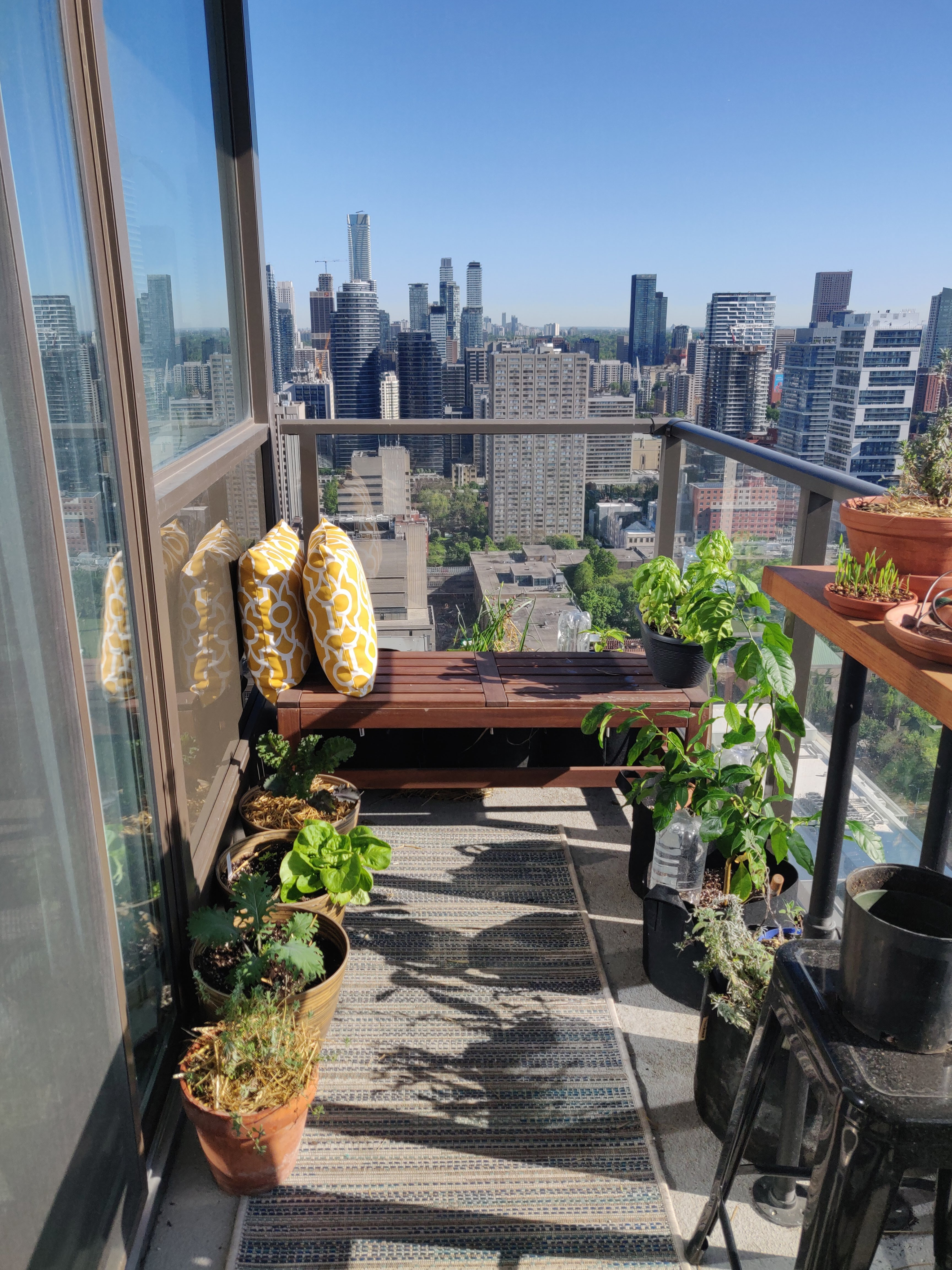 Photo on a sunny day of balcony full of plants on the 40th floor facing north with a view of the city